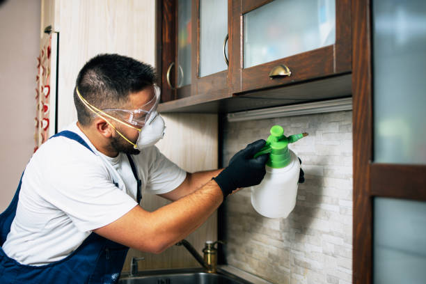 Reliable Gosnell, AR Pest Control Solutions