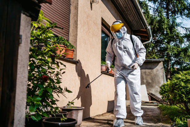 Best Pest Control for Homes  in Gosnell, AR