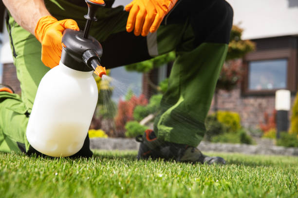 Best Flea Control Services  in Gosnell, AR