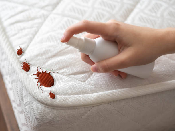 Best Pest Control Near Me in Gosnell, AR