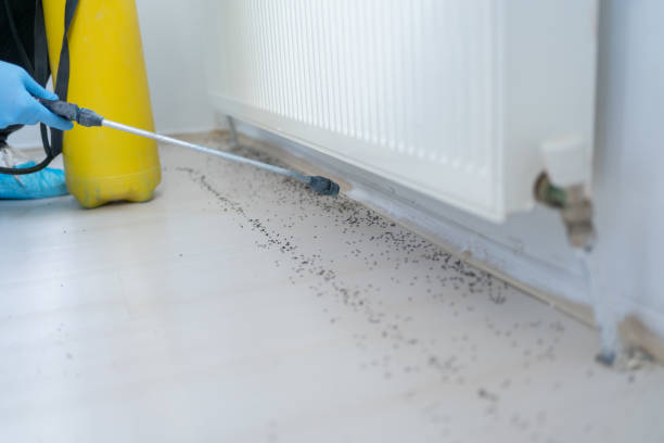 Best Emergency Pest Control  in Gosnell, AR