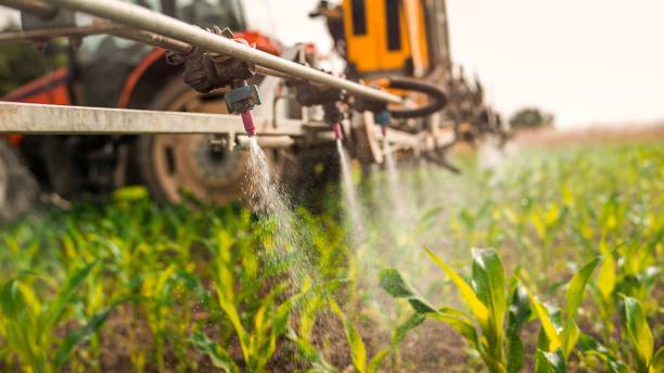 Best Wildlife Control Services  in Gosnell, AR
